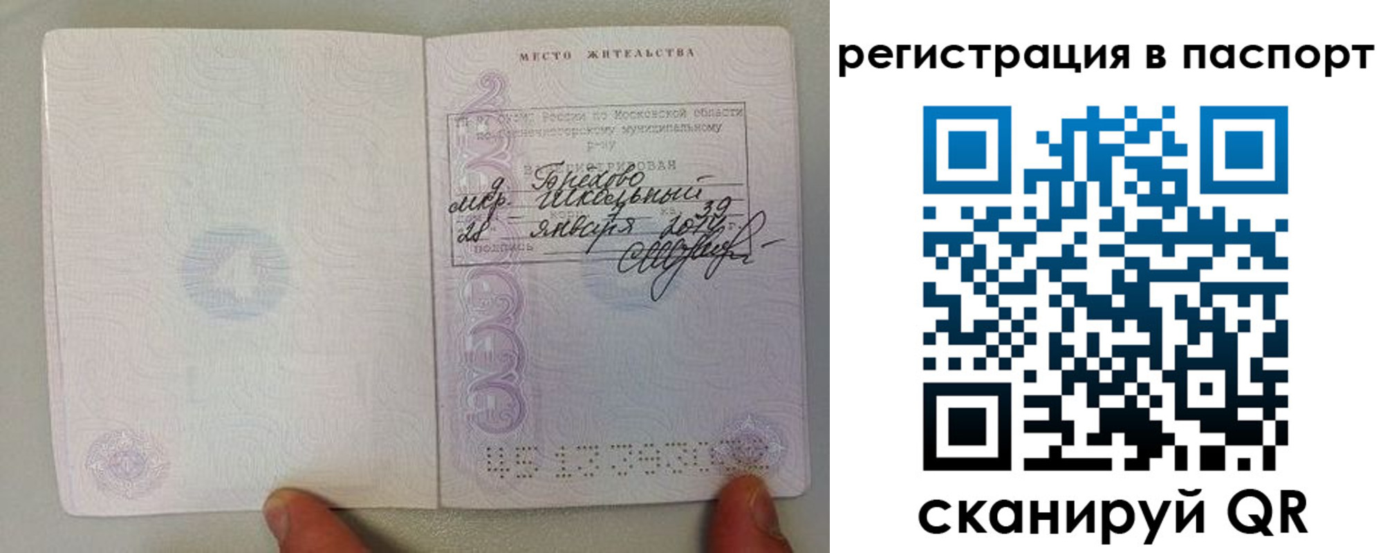 прописка гарантия в Пензе